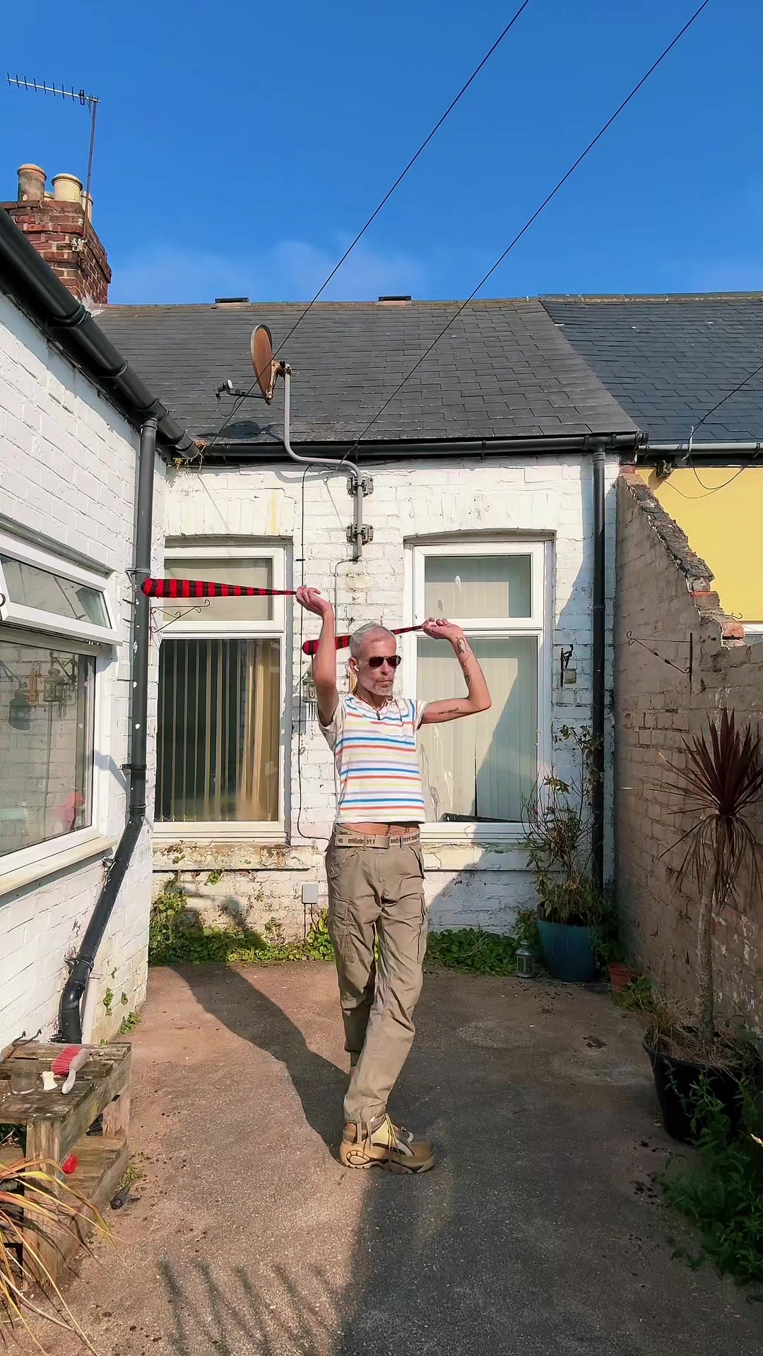 @zebradavid