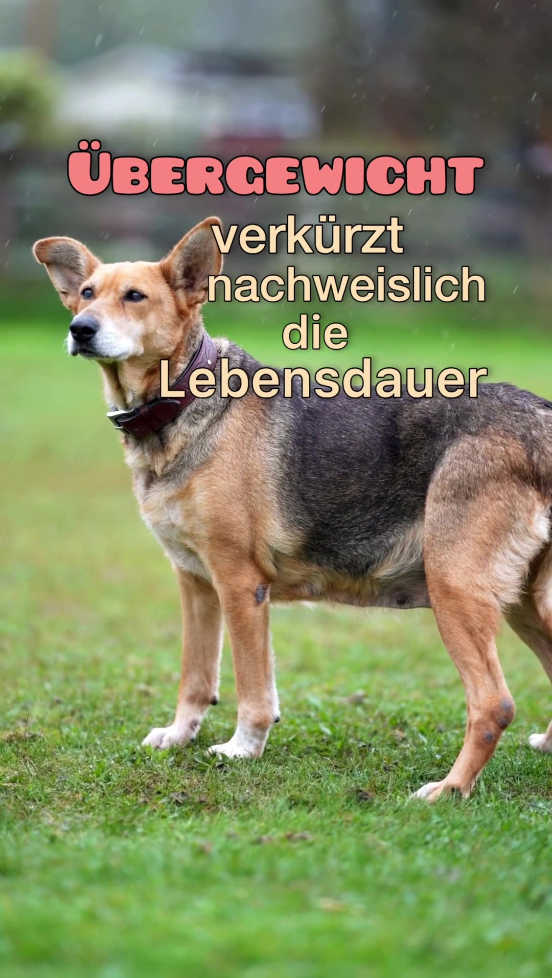 @Kathi