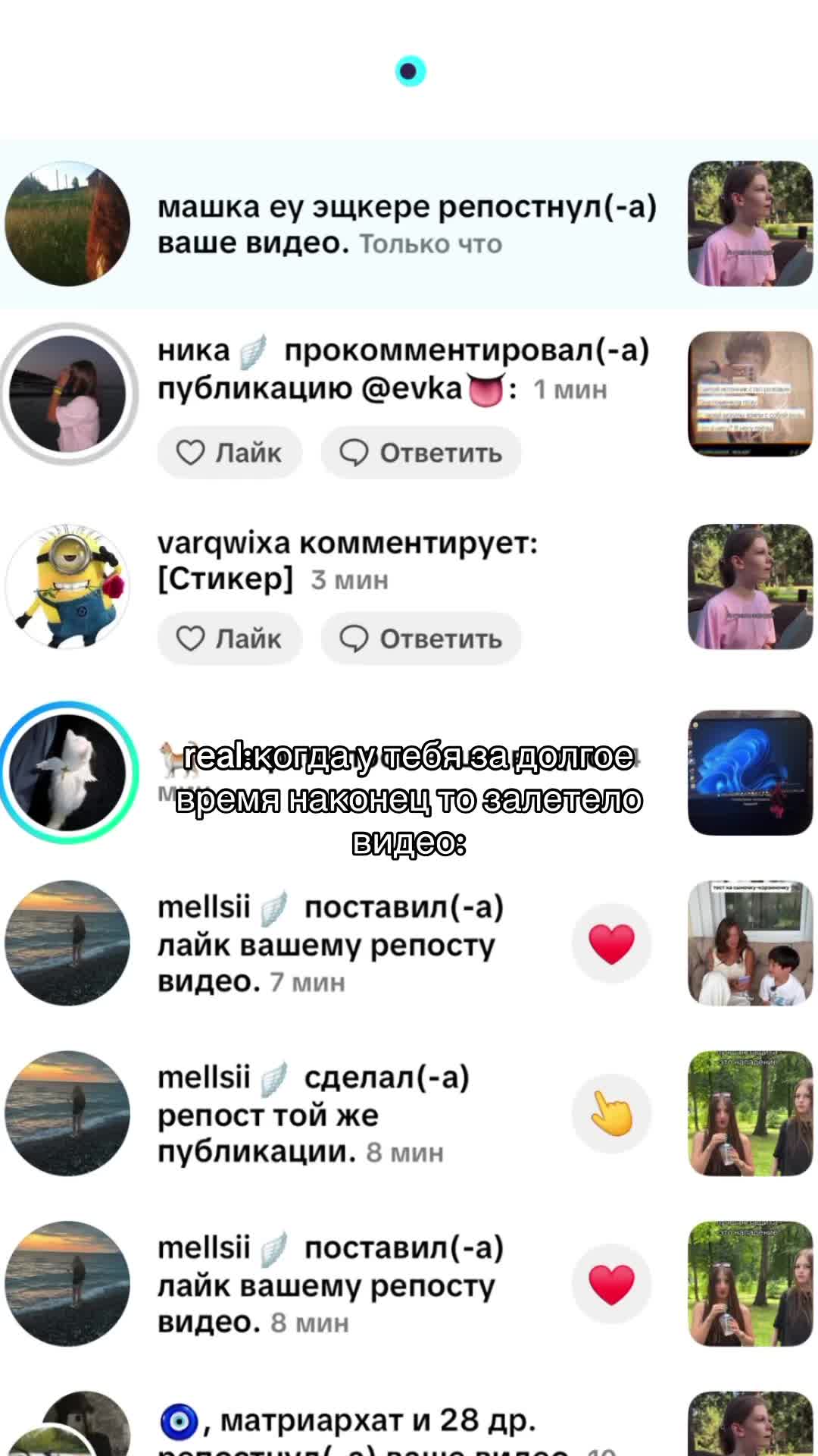 @sofi🎀