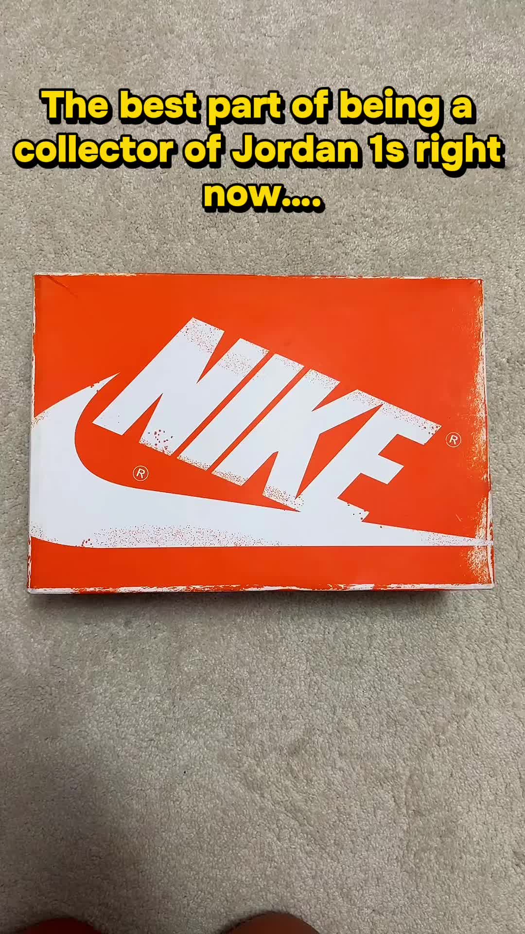 @elliethesneakermom