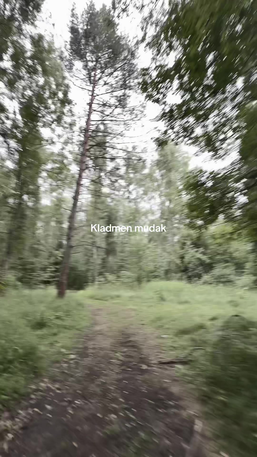 @Тгк: KIKI @Kk7s11🪽