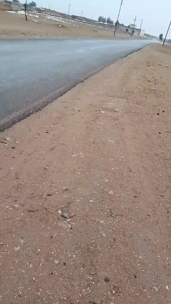 @فرج البرتو♕؟