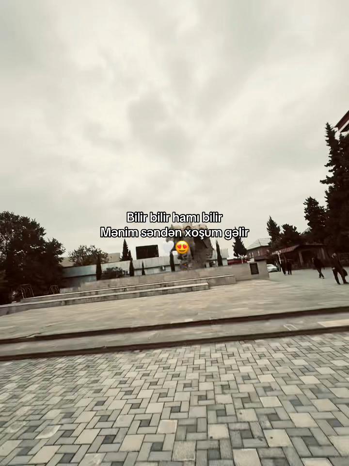 @Sinan