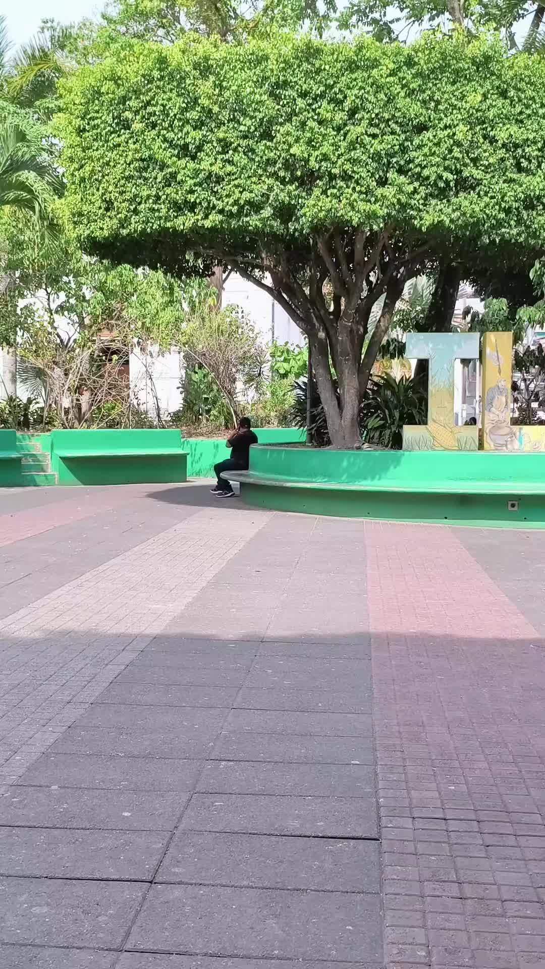 @misha.free