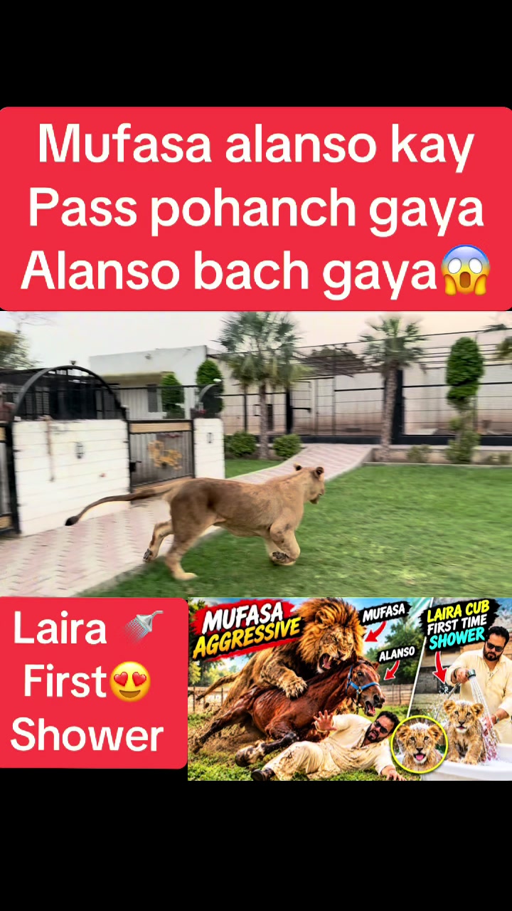 @Mian saqib