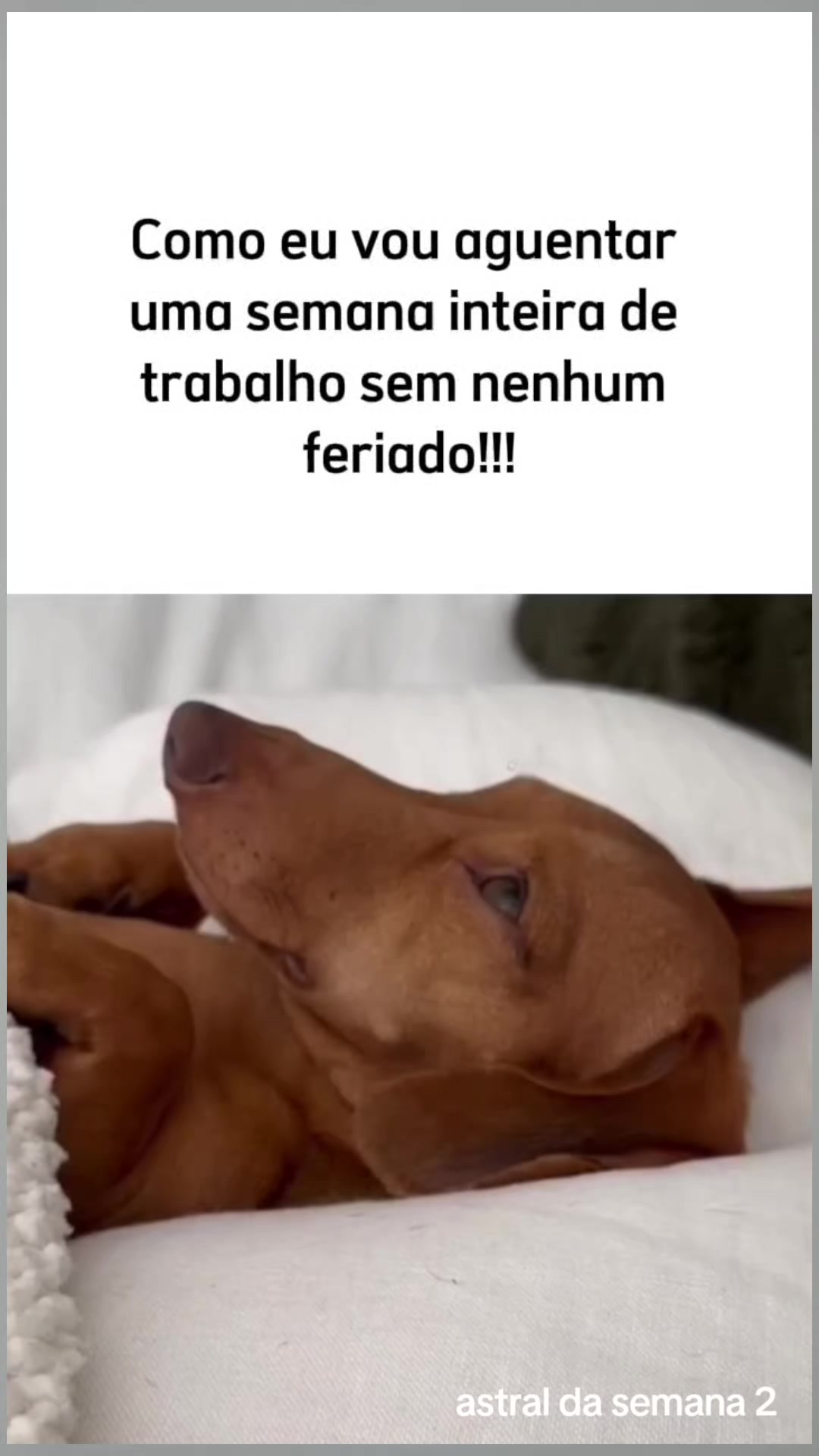 @Astral da semana 2