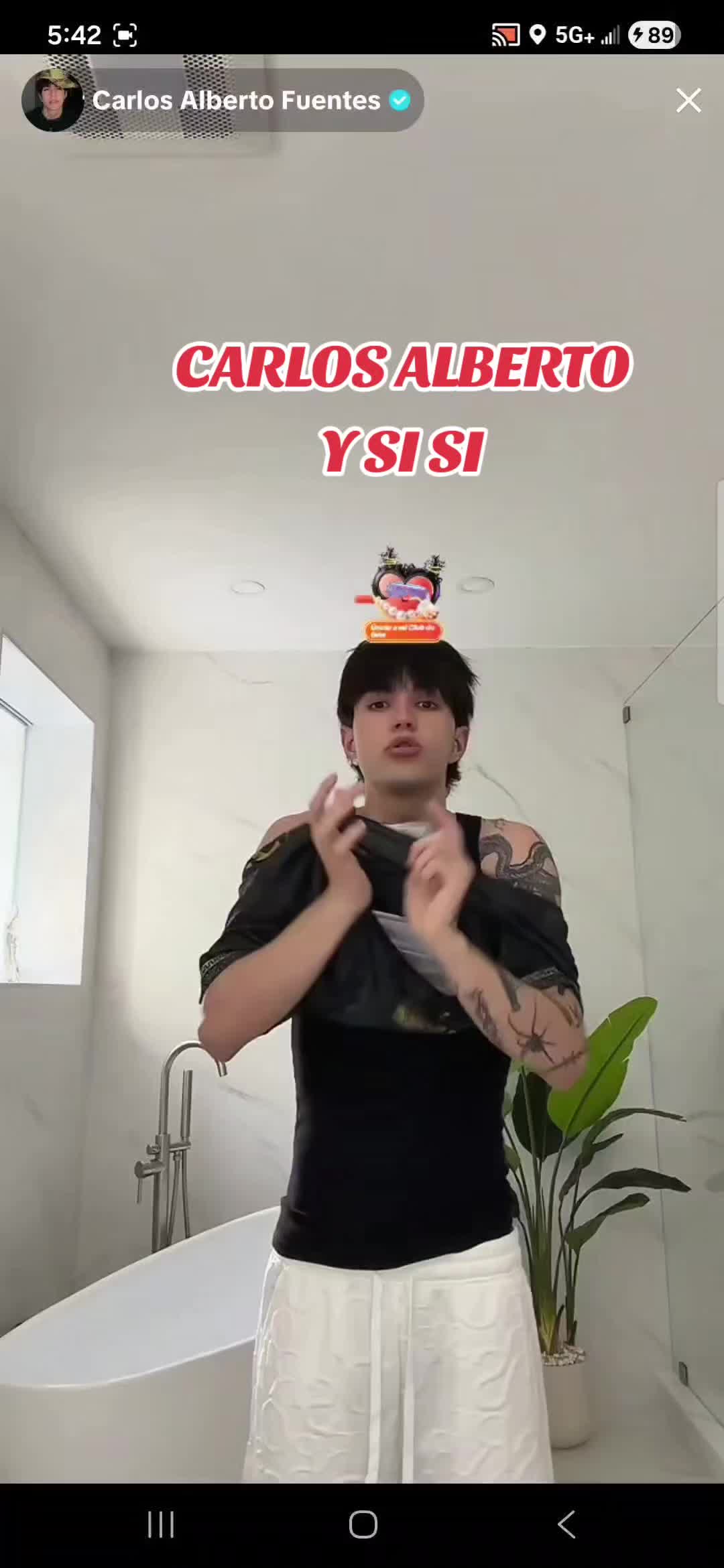 @maricelaortiz1433