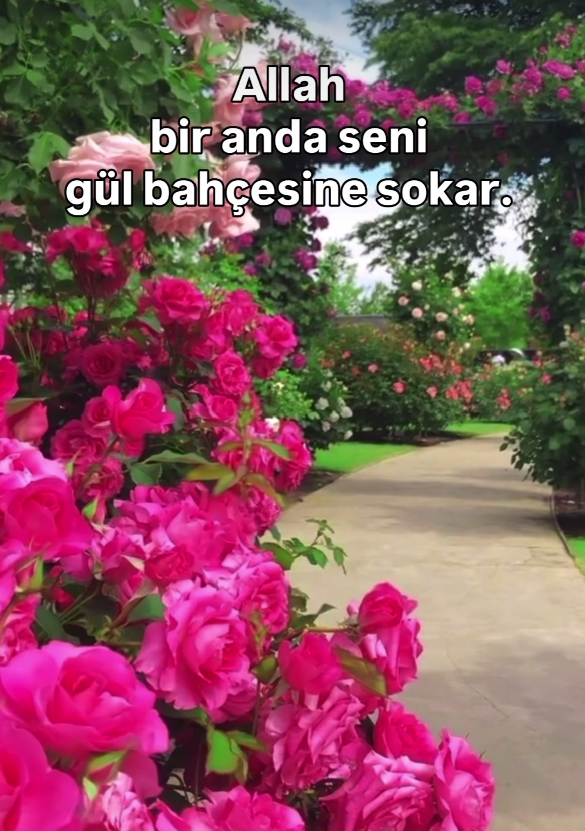 @İslam sayfası 🌸