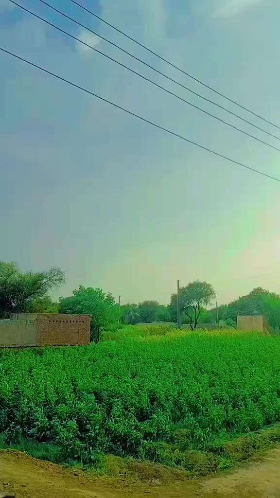 @Waseem Kulyar