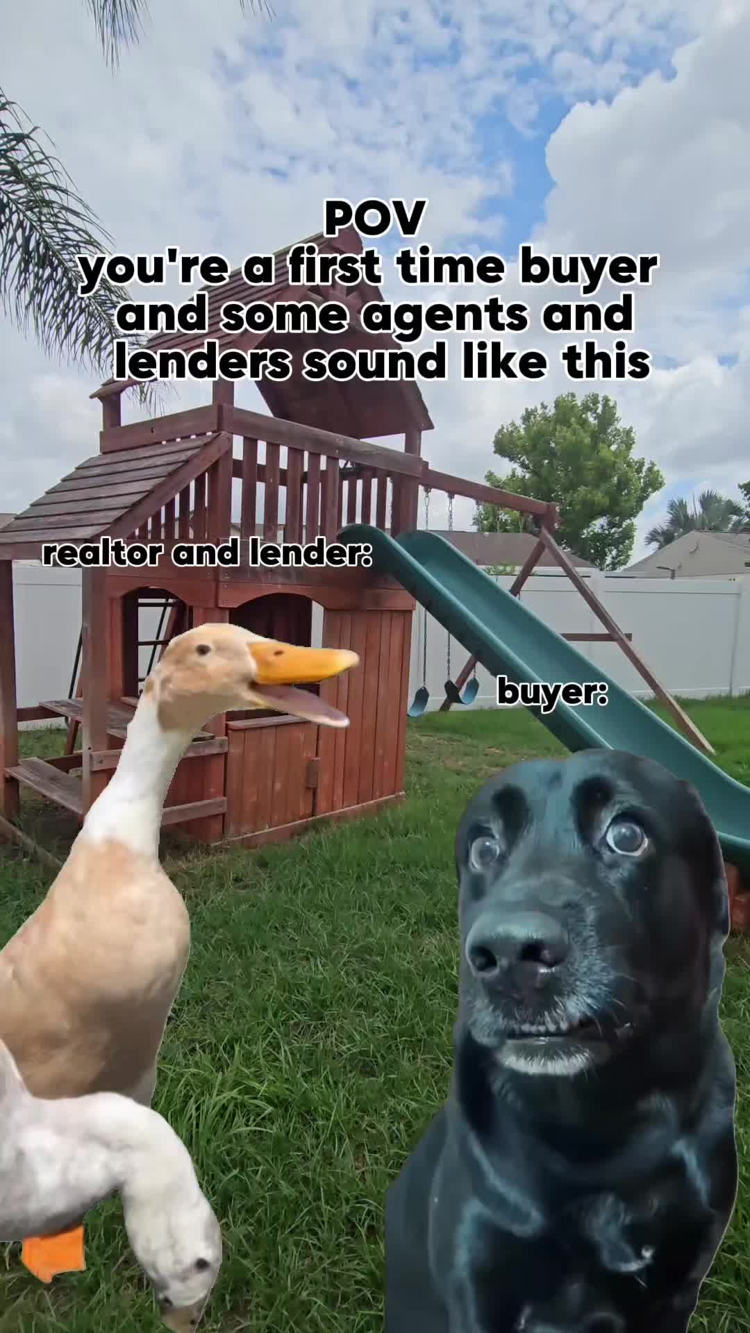 @Shannon |Tampa Realty Expert