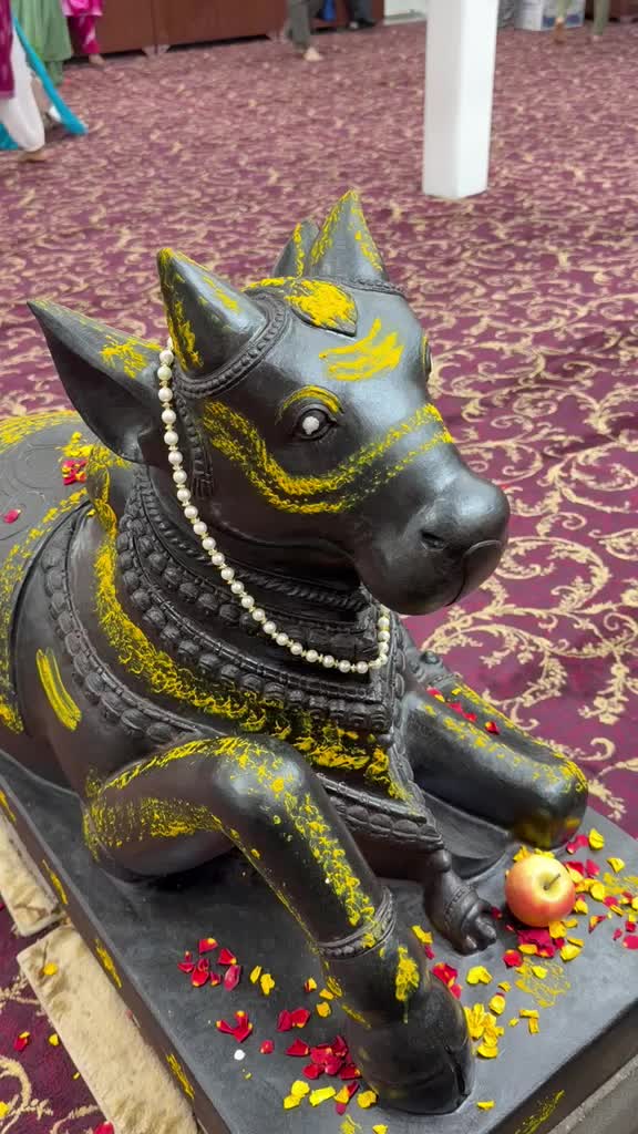 @Vikas Sharma