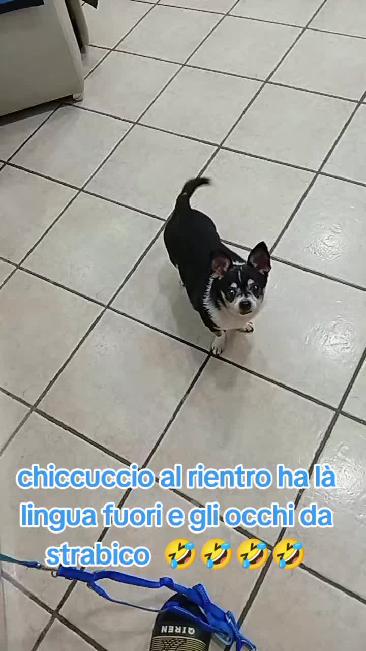 @Ciro Pelliccio