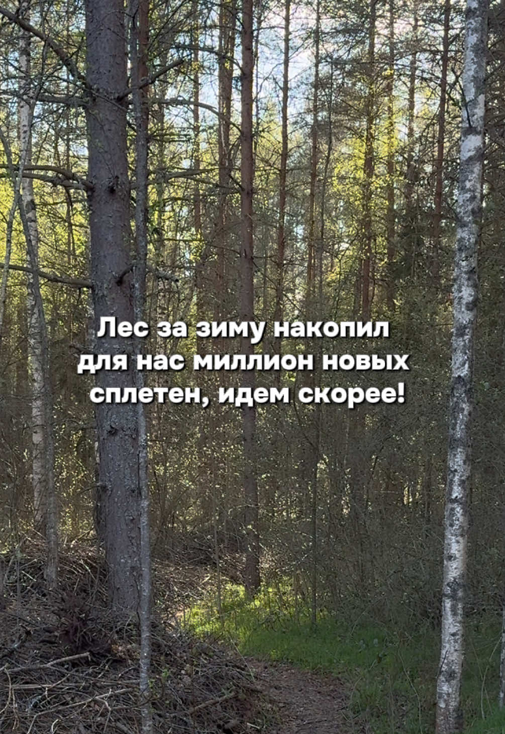 @Даша из зоопарка