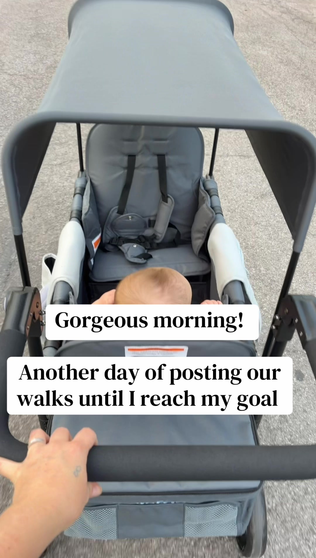 @Growingwithlauryn