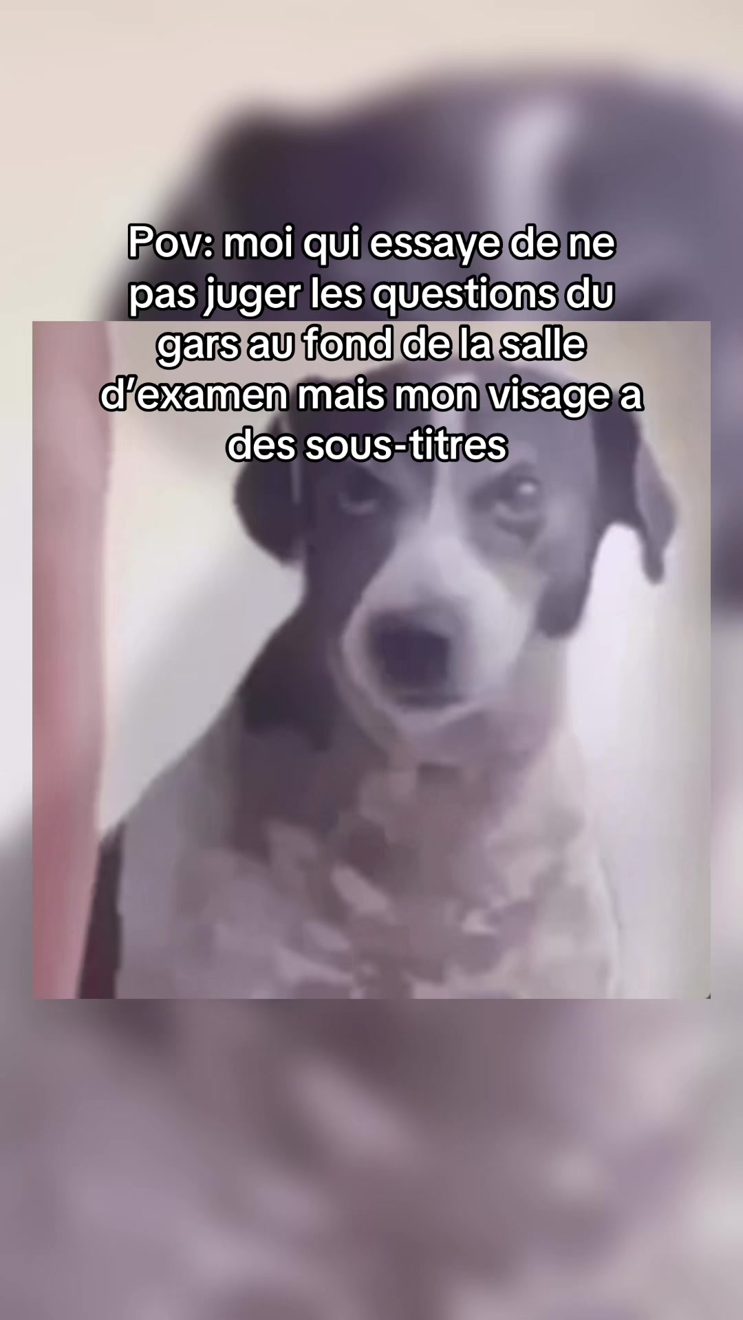 @ℳ𝒶𝒹𝒾