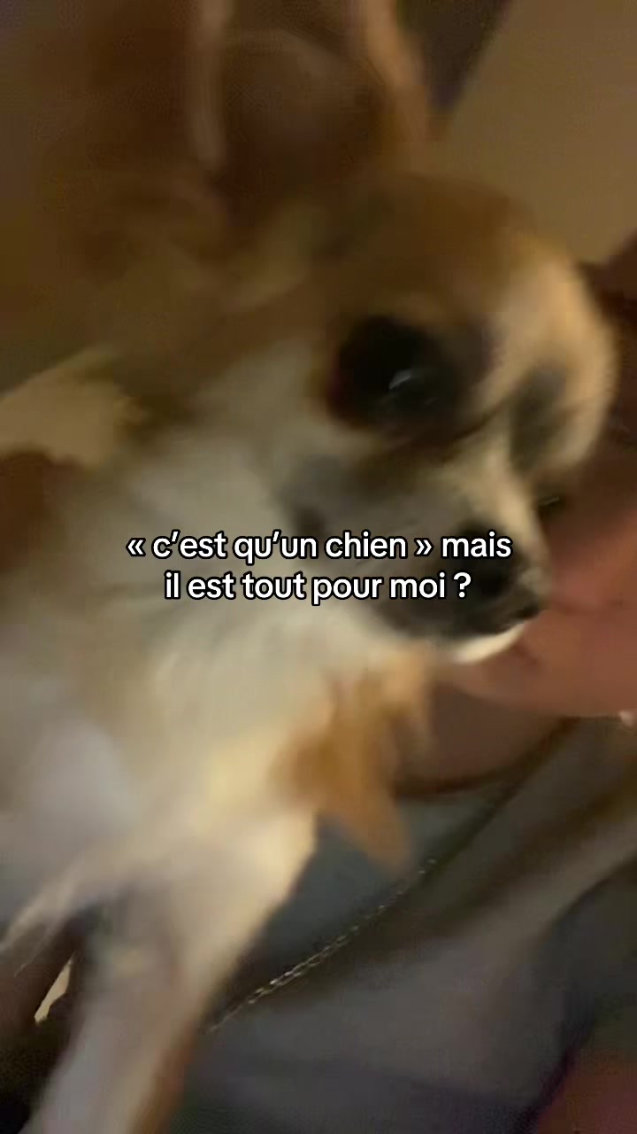 @๏ธ