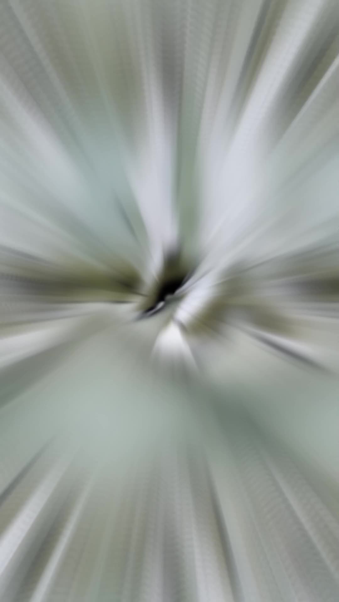 @MisterStreet.de