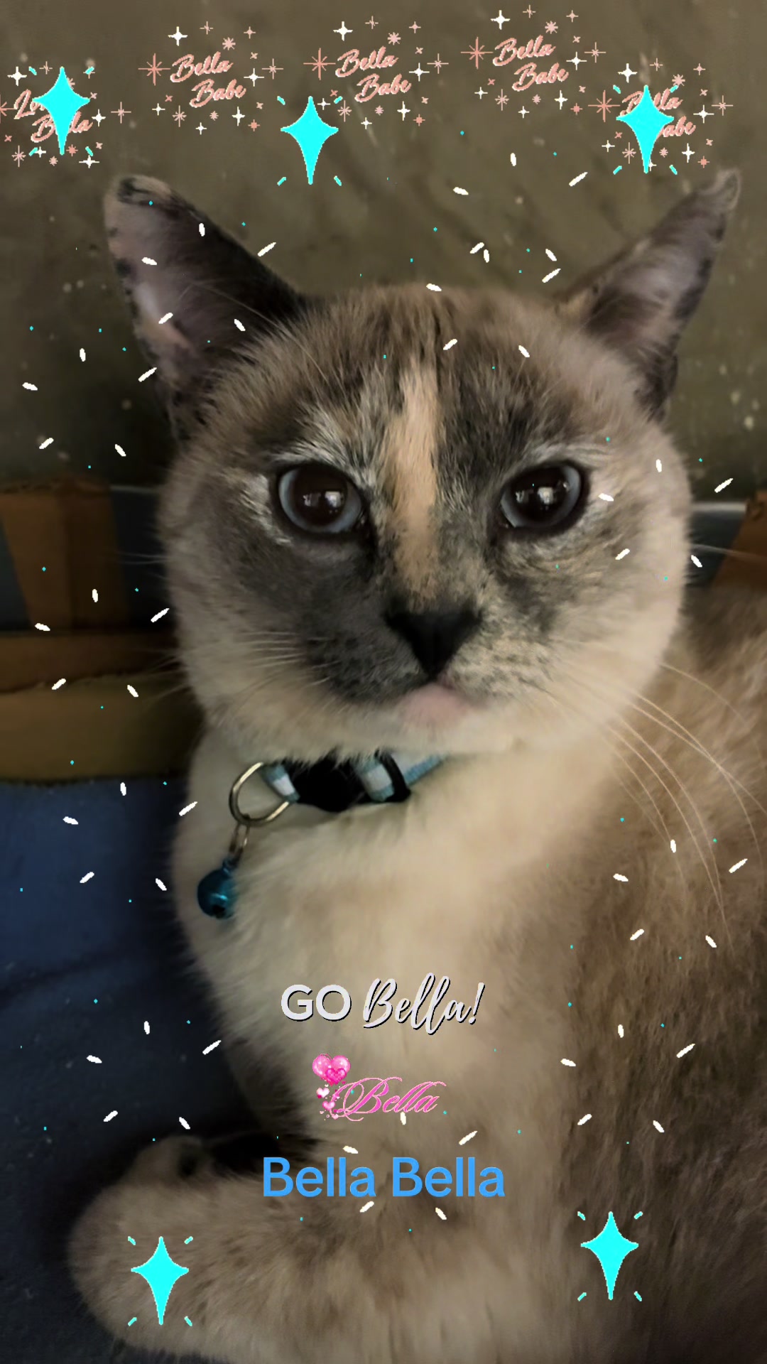 @Amri Gatitos