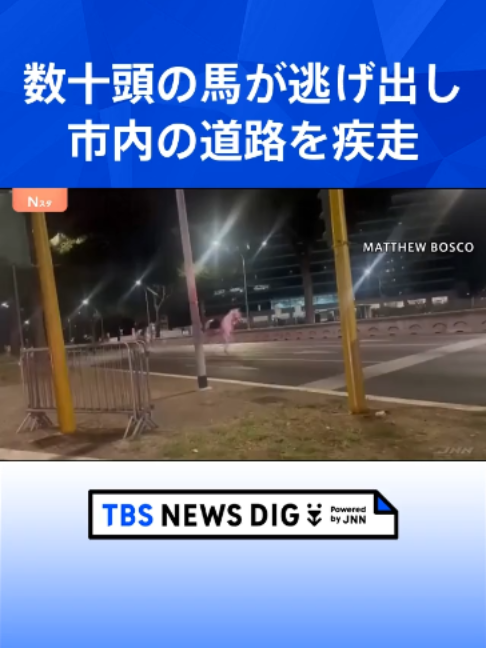 @TBS NEWS DIG Powered by JNN