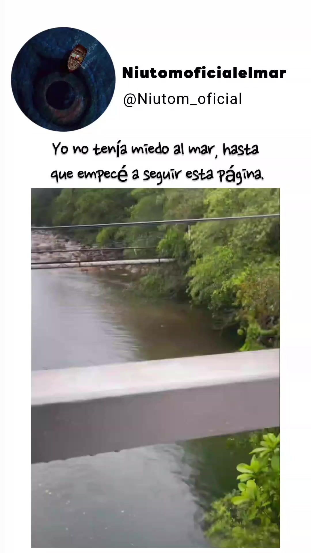 @🌊️niutom oficial el mar 🌊