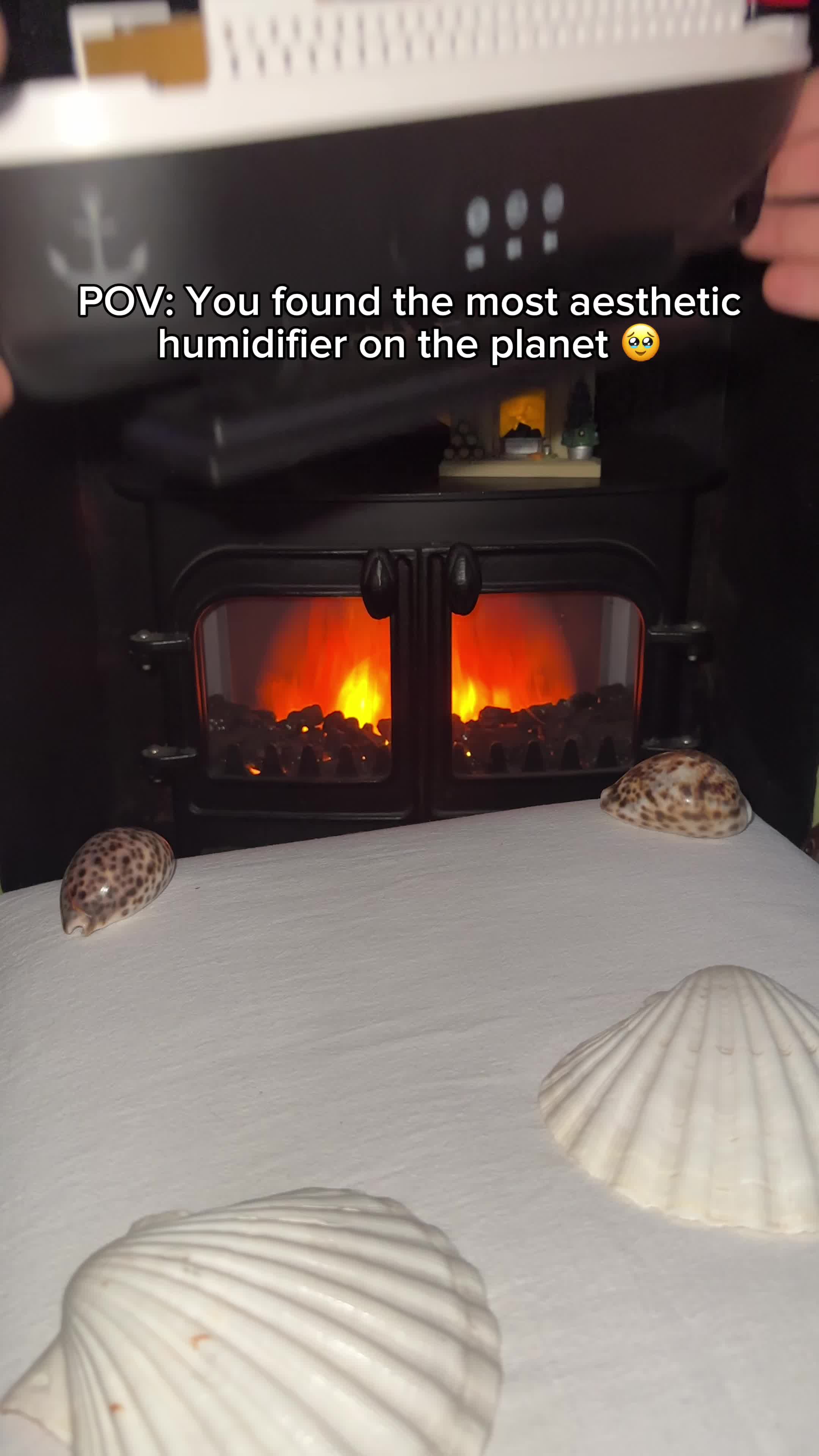 @Cozy Titanic humidifier