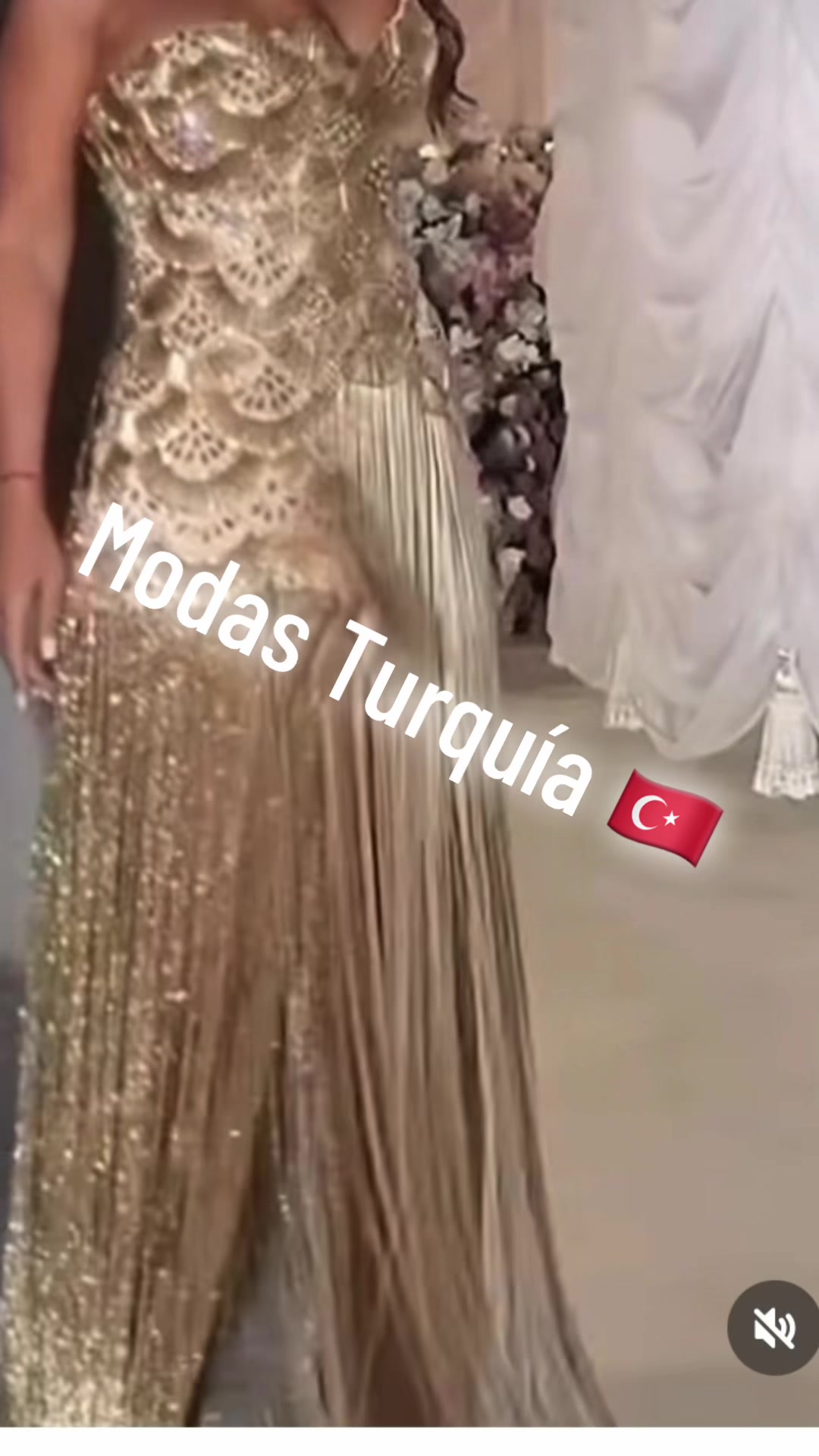 @bibicontreras