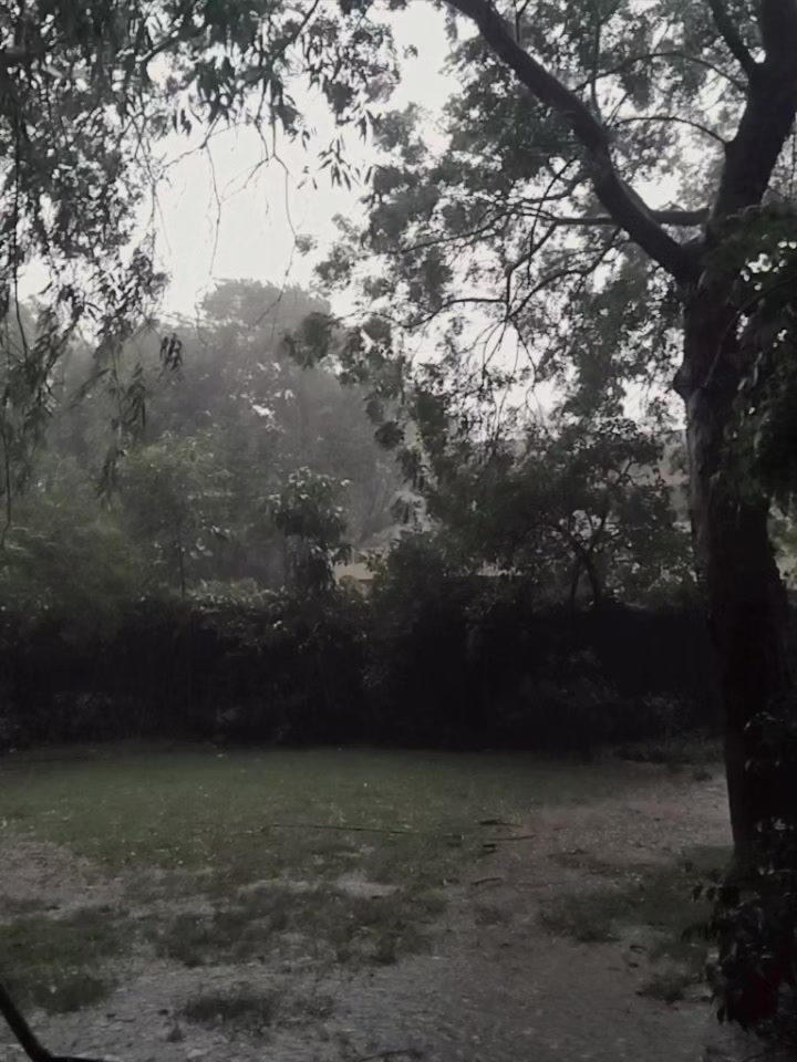 @wyd_Shahzaib