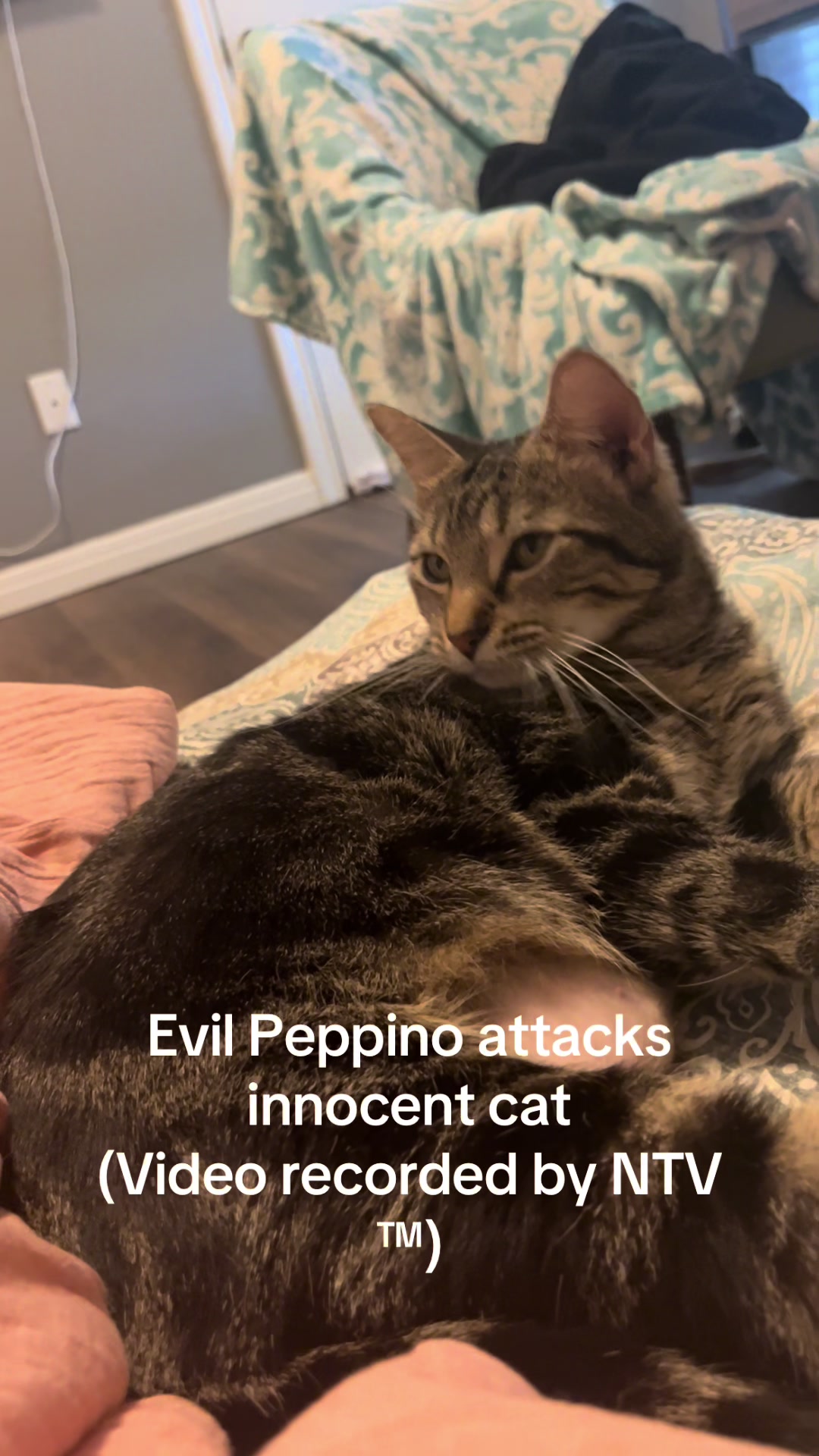 @Terrified Peppino spaghetti