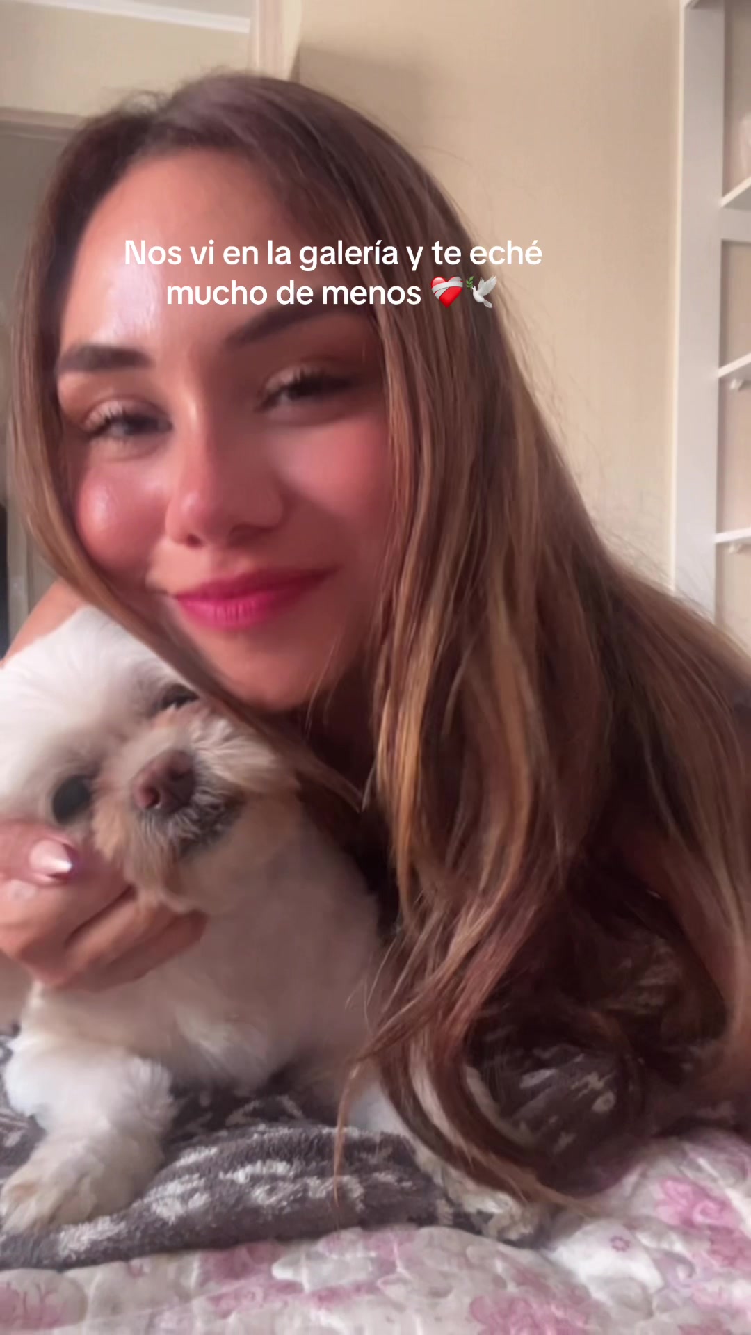 @ximenape95