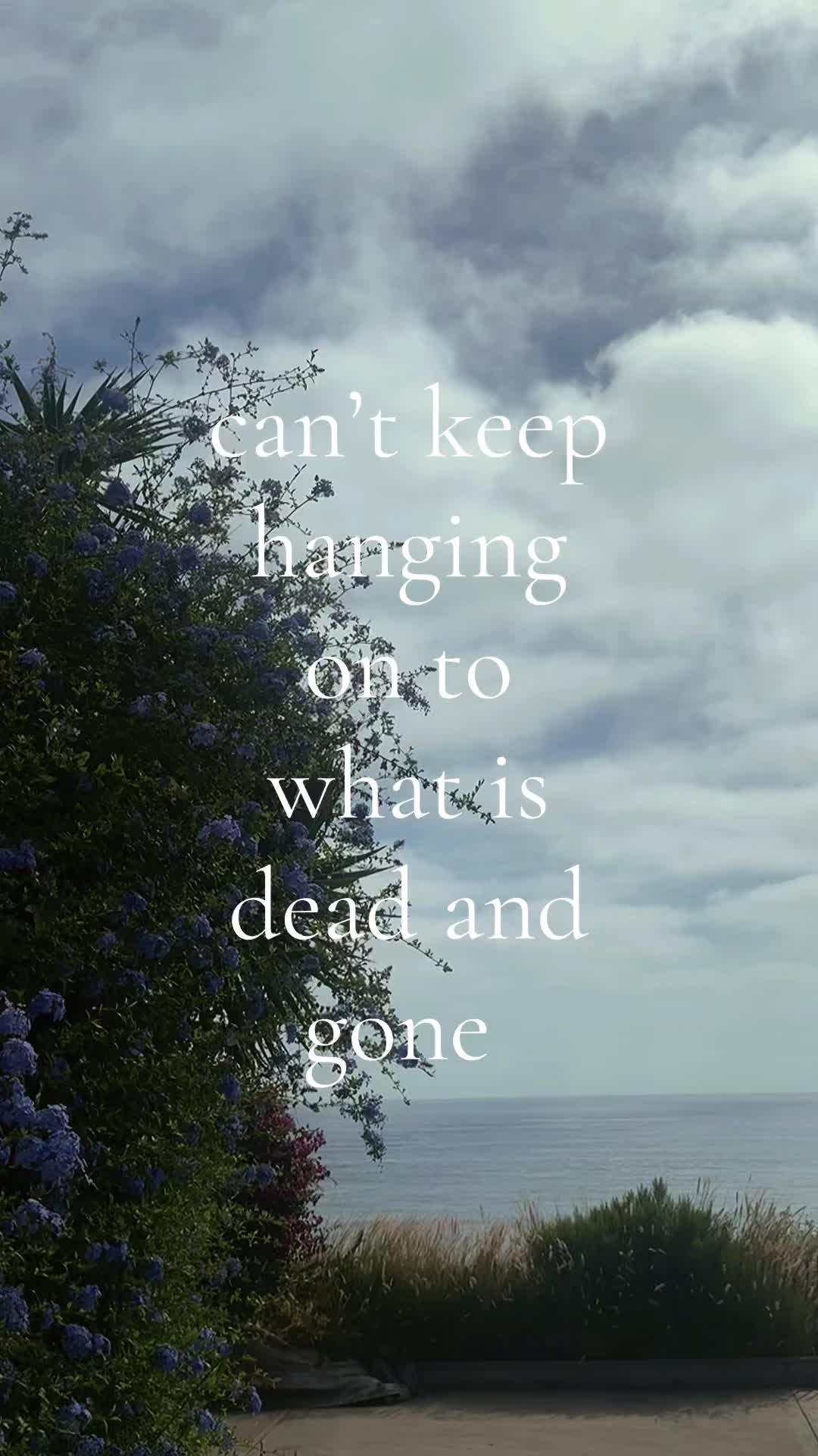 @wyldflwrs