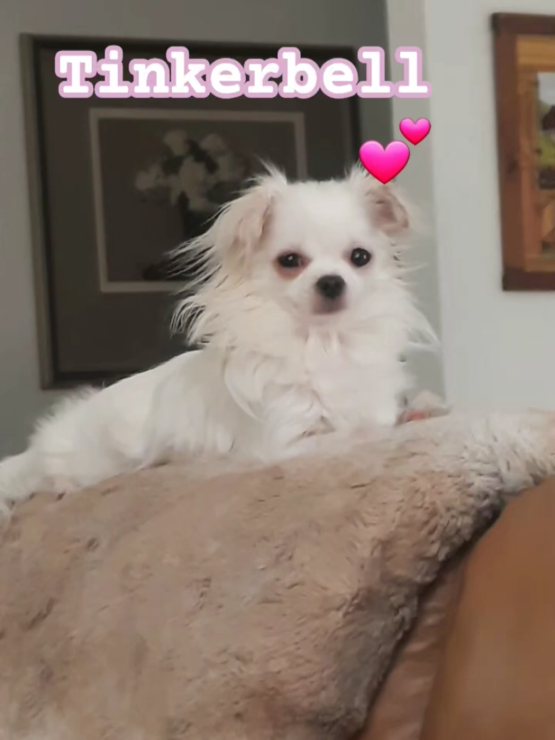 @danasdailydoodles