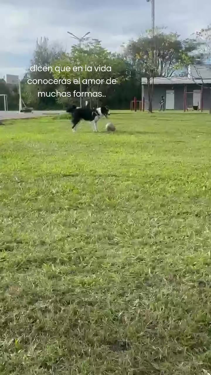 @marialuzcontrer15
