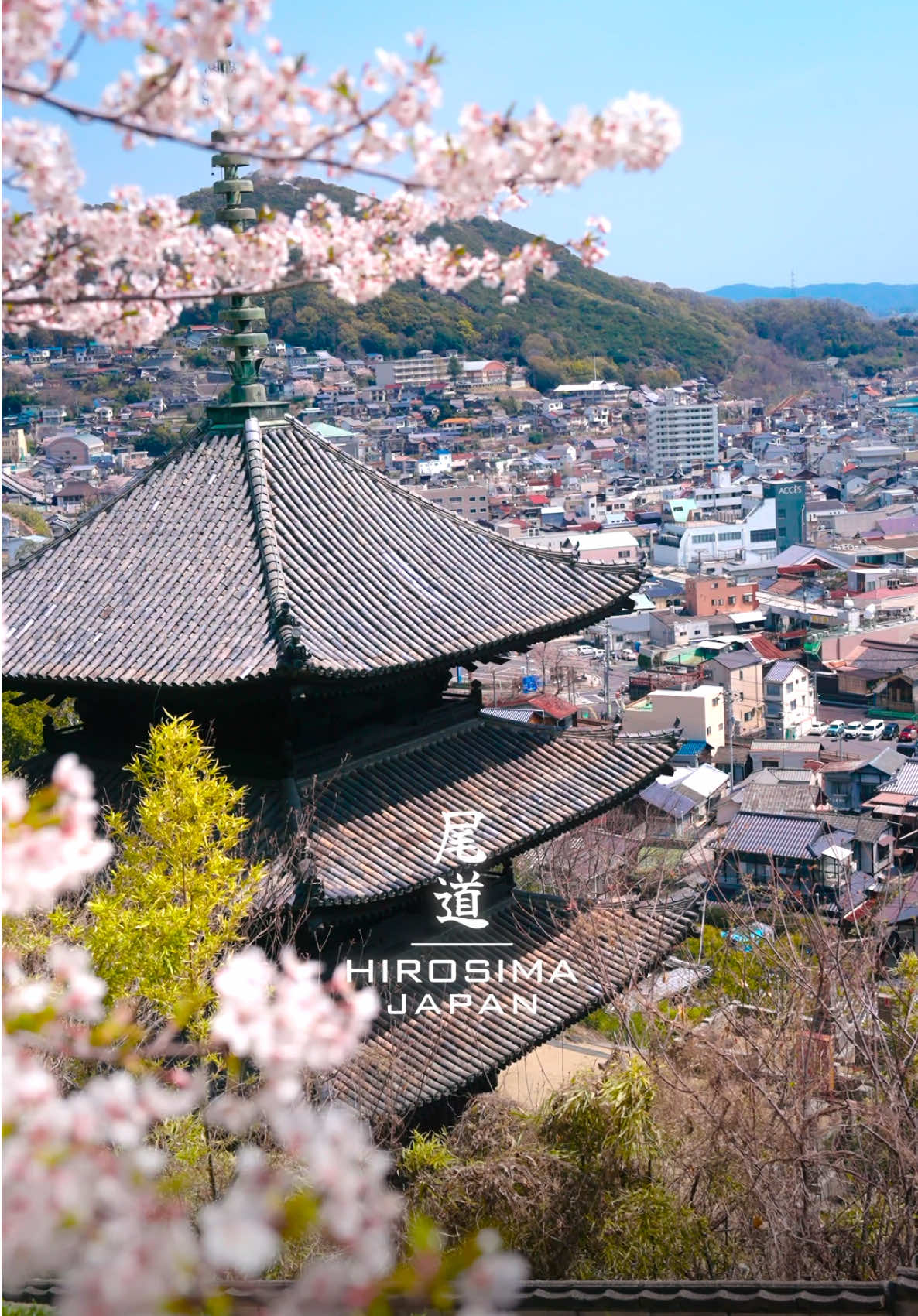 @Cotton | Japan Travel 🇯🇵
