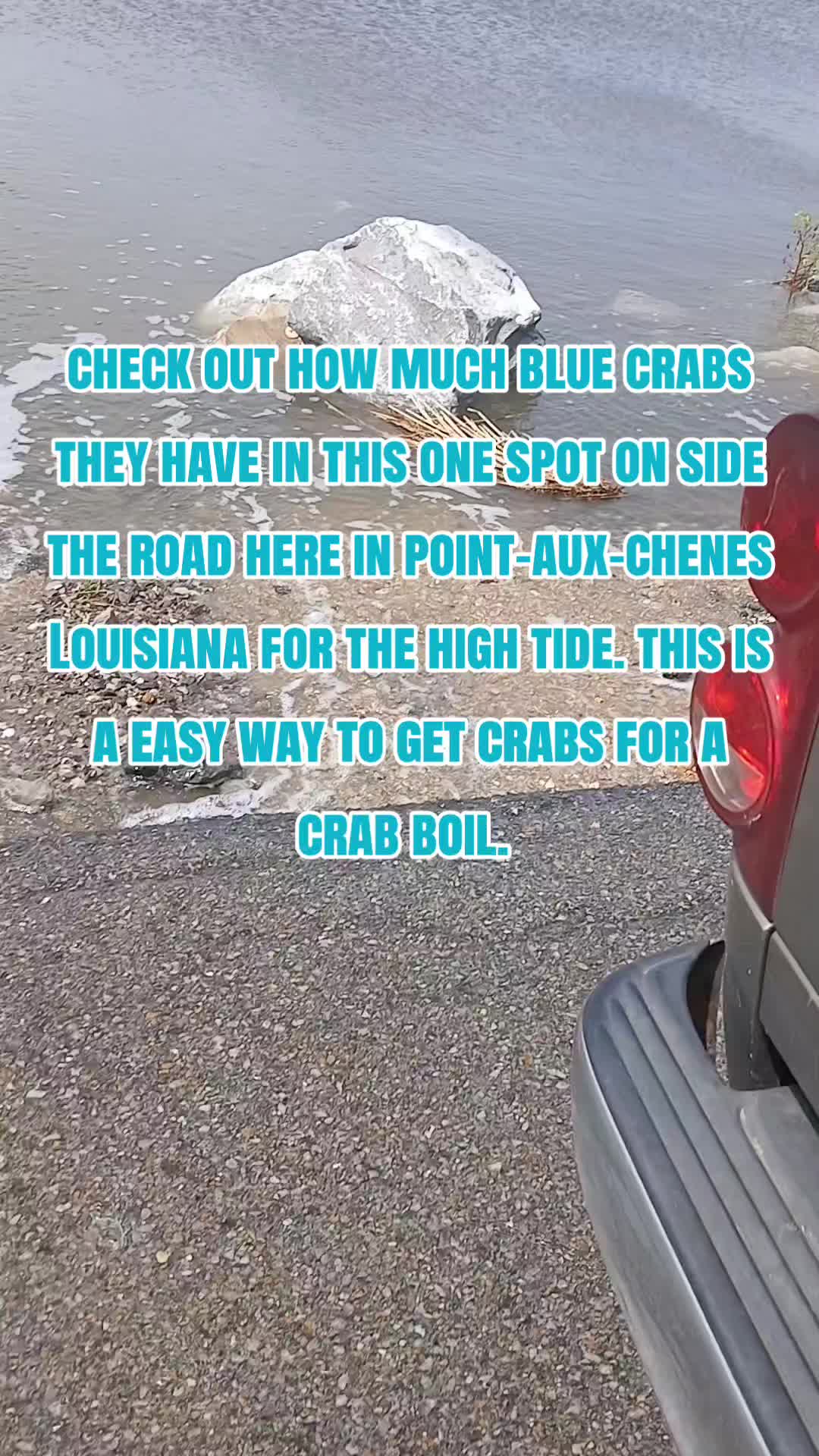 @SALTWATER SAB OUTDOORS