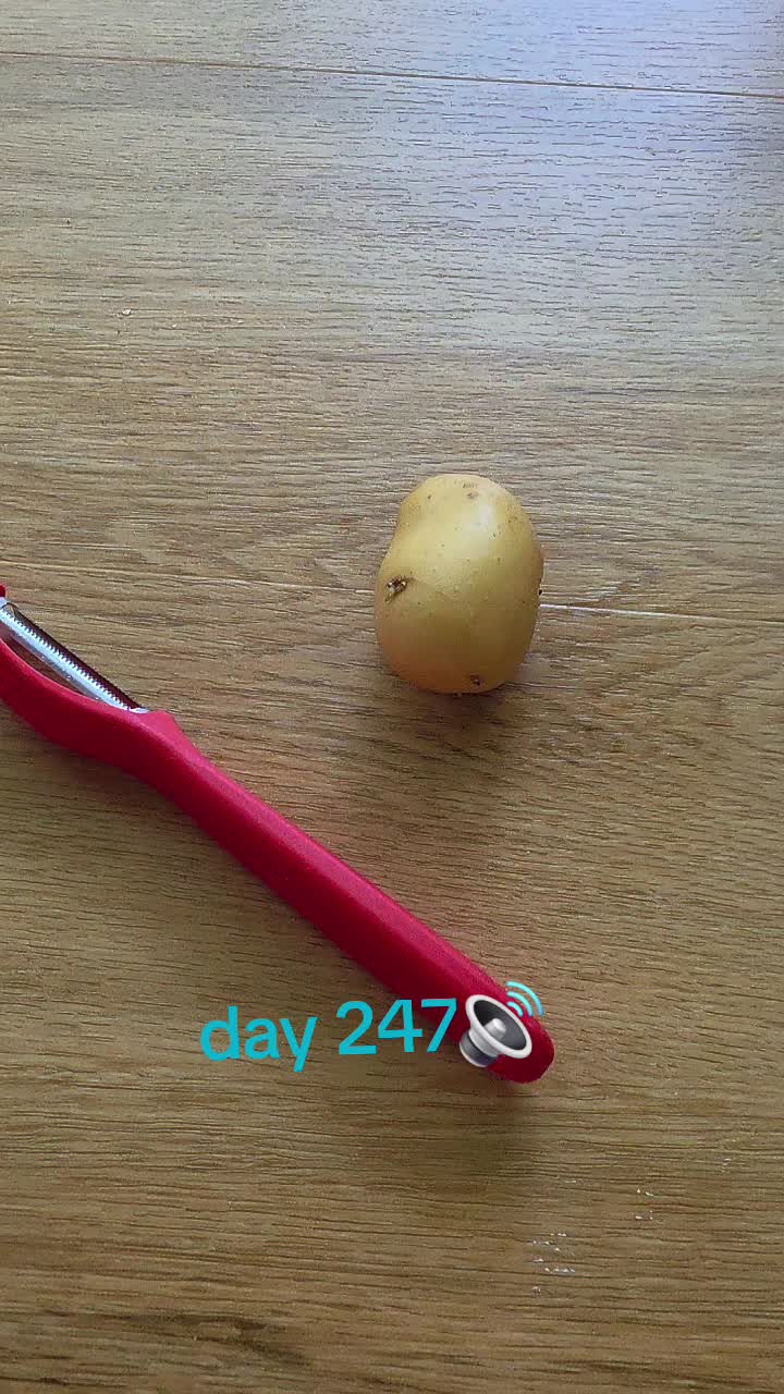 @OneTaterGirl🥔