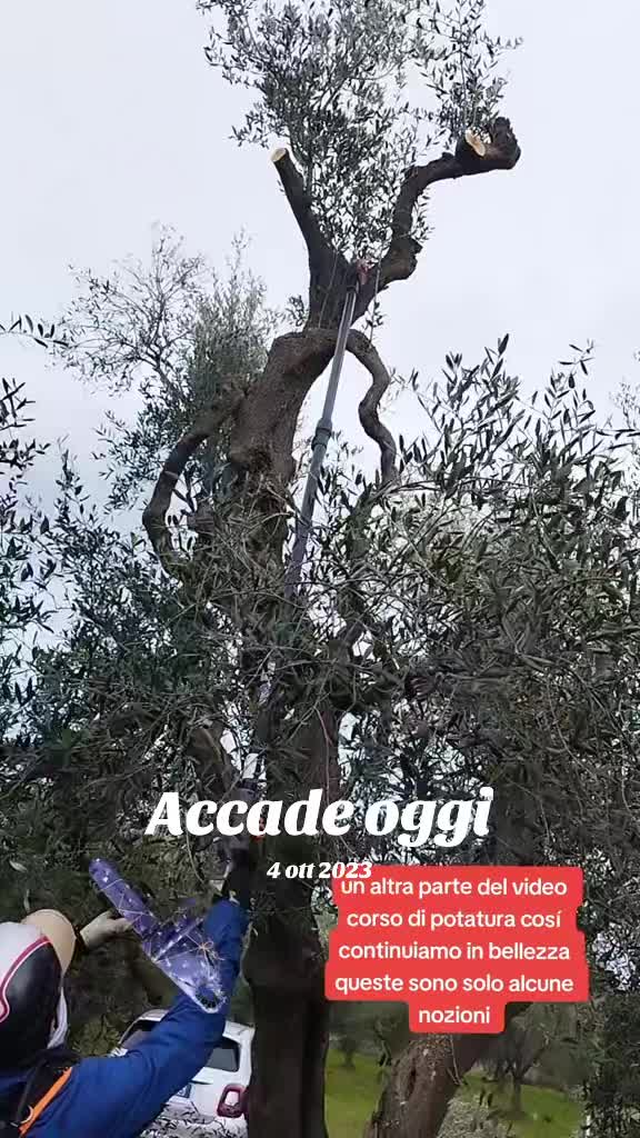 @Gaetano D.