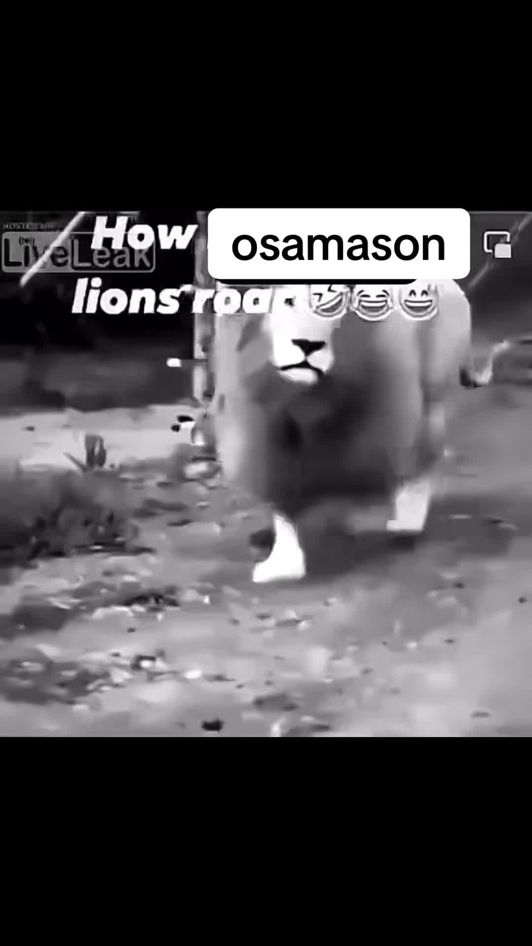 @karsagi