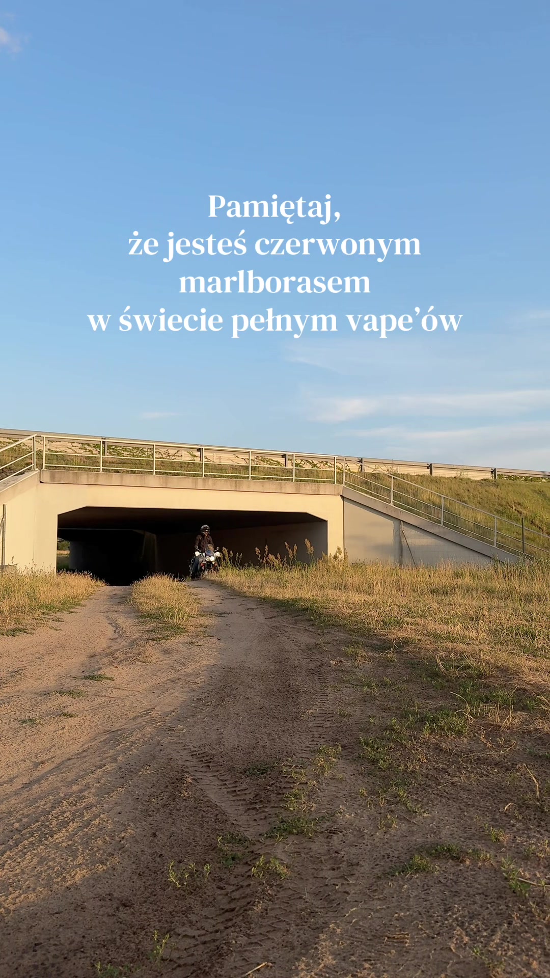 @tomek.hd