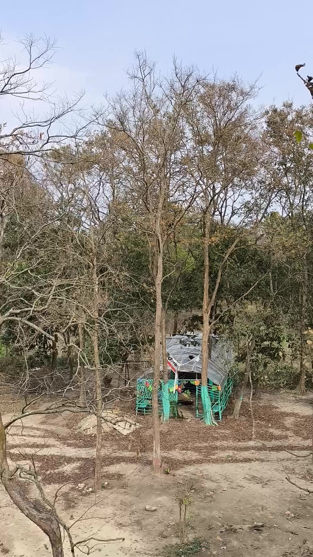@𝑴𝒅 ♡ 𝑳𝒂𝒍𝒖