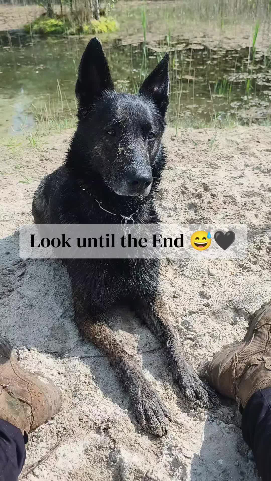 @Anna & Neo 🖤🐾