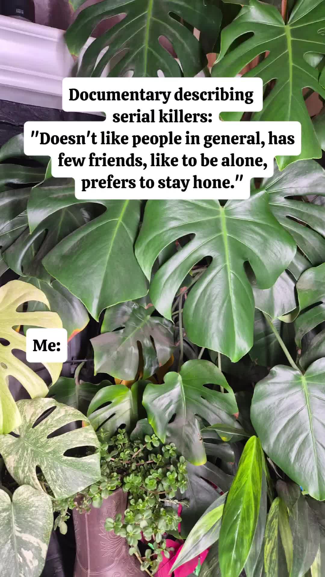 @Yaneli