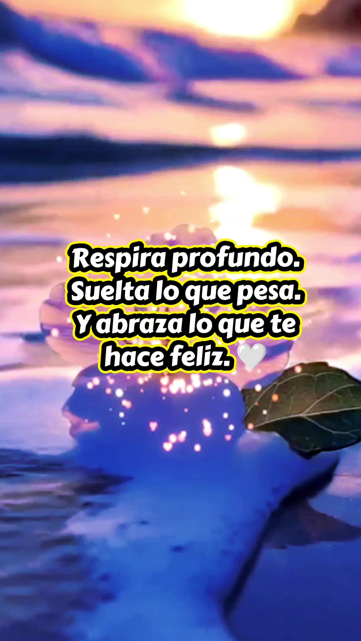@Linda Maldonado