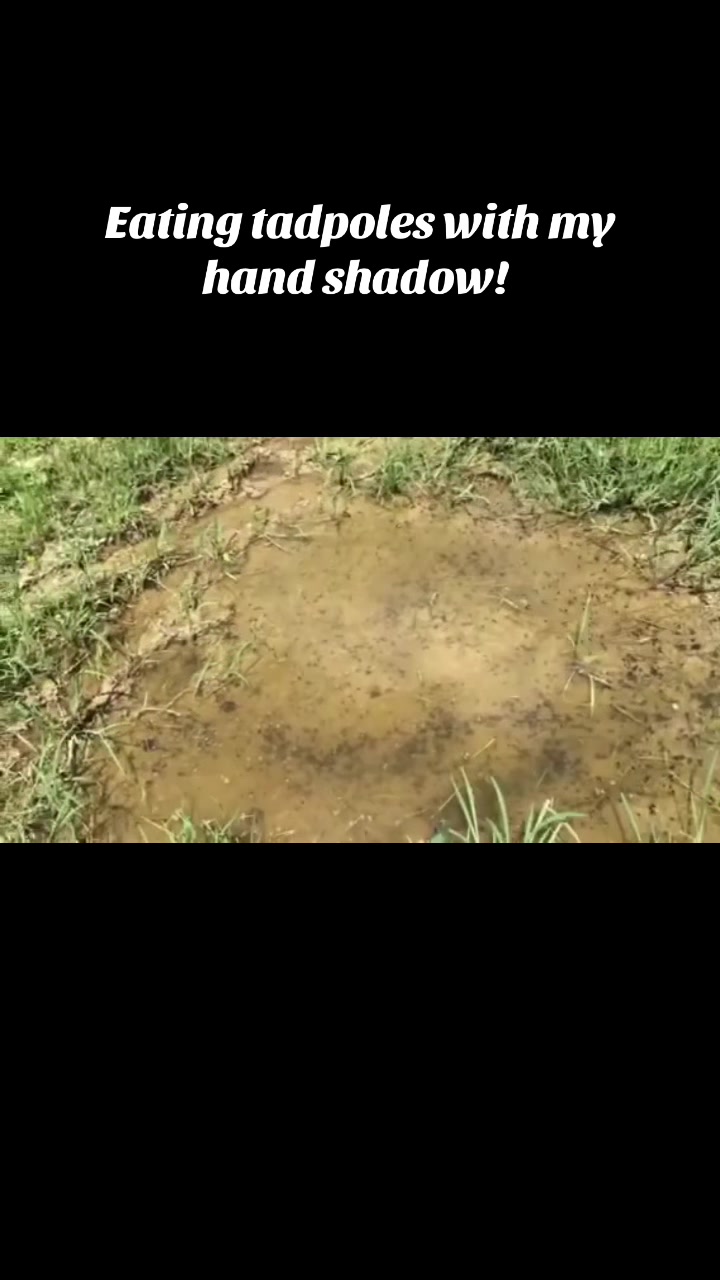 @SteveBob187