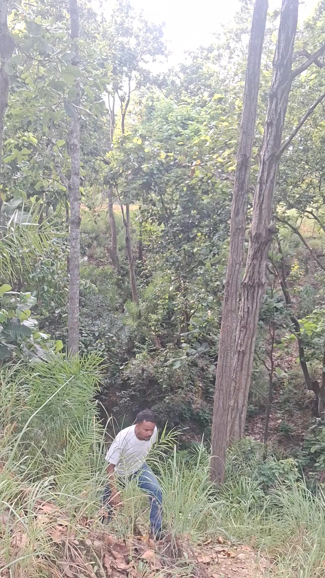 @अनिल  प्र.विश्वकर्मा(कालेकोटे)