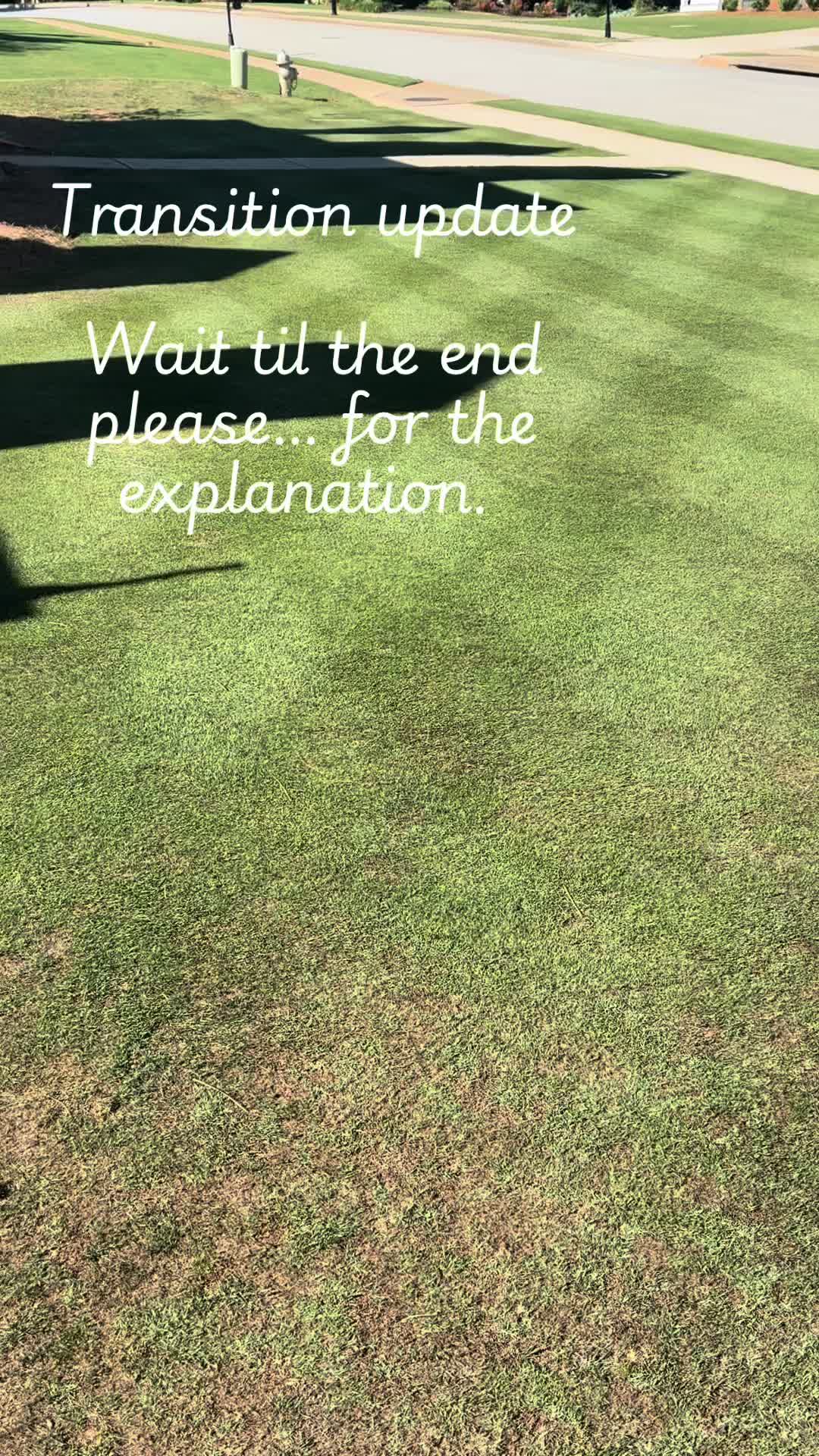 @frontporchchatter