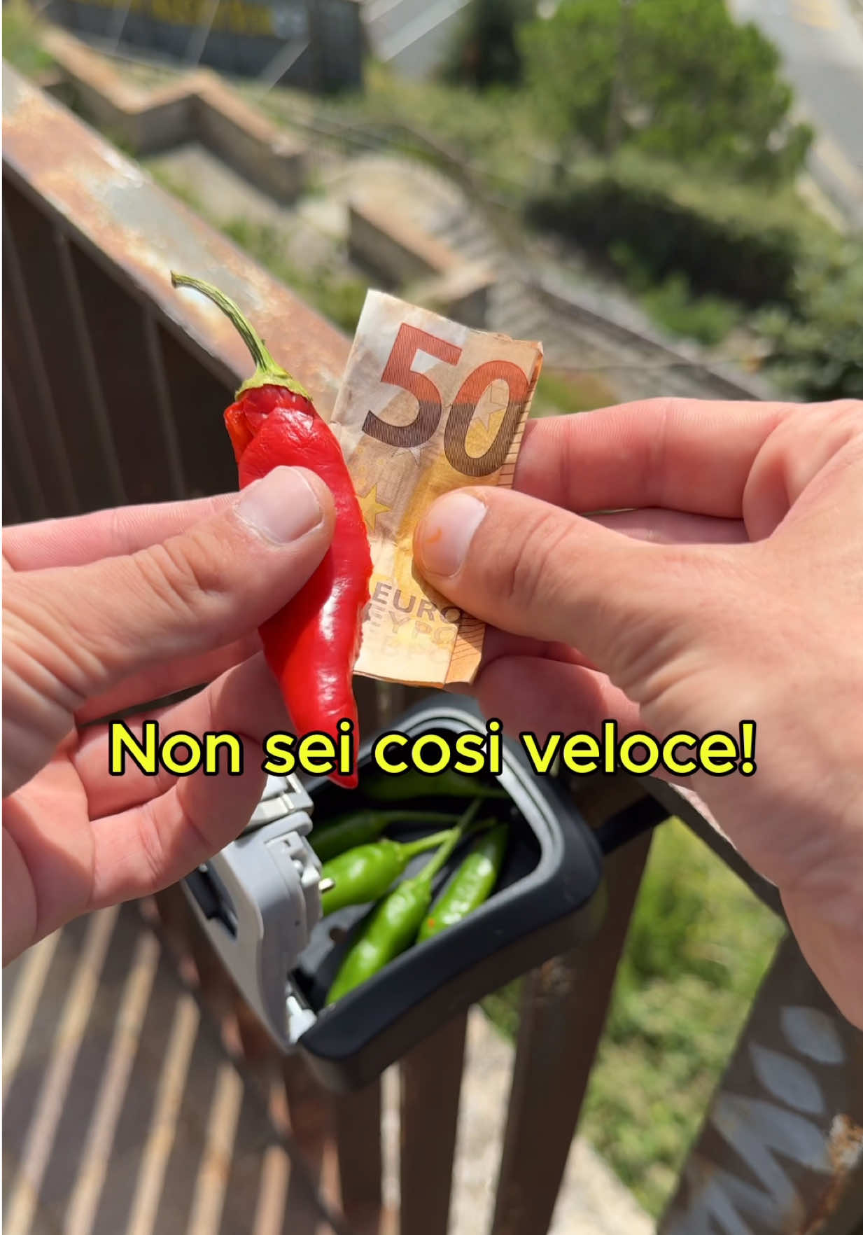 @Cash_Catch_Italy