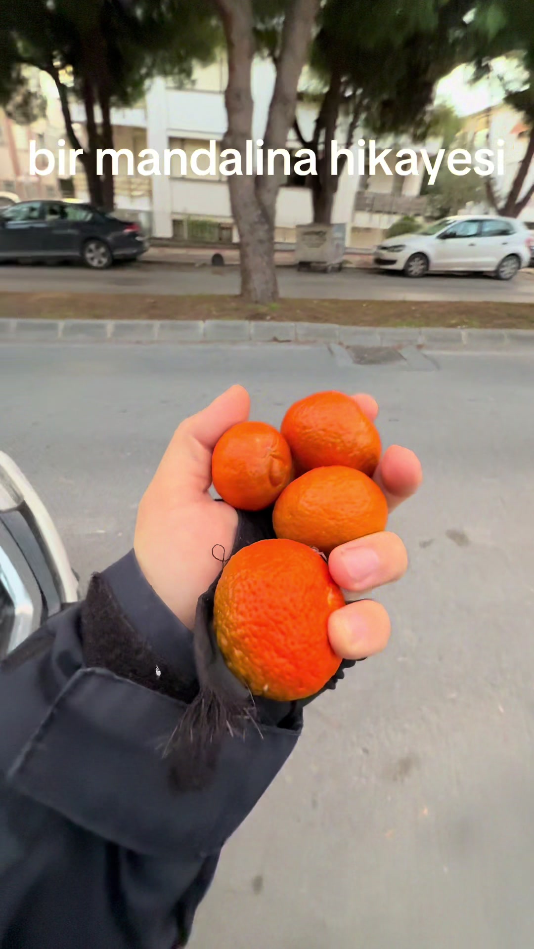 @Ömer Ekinci
