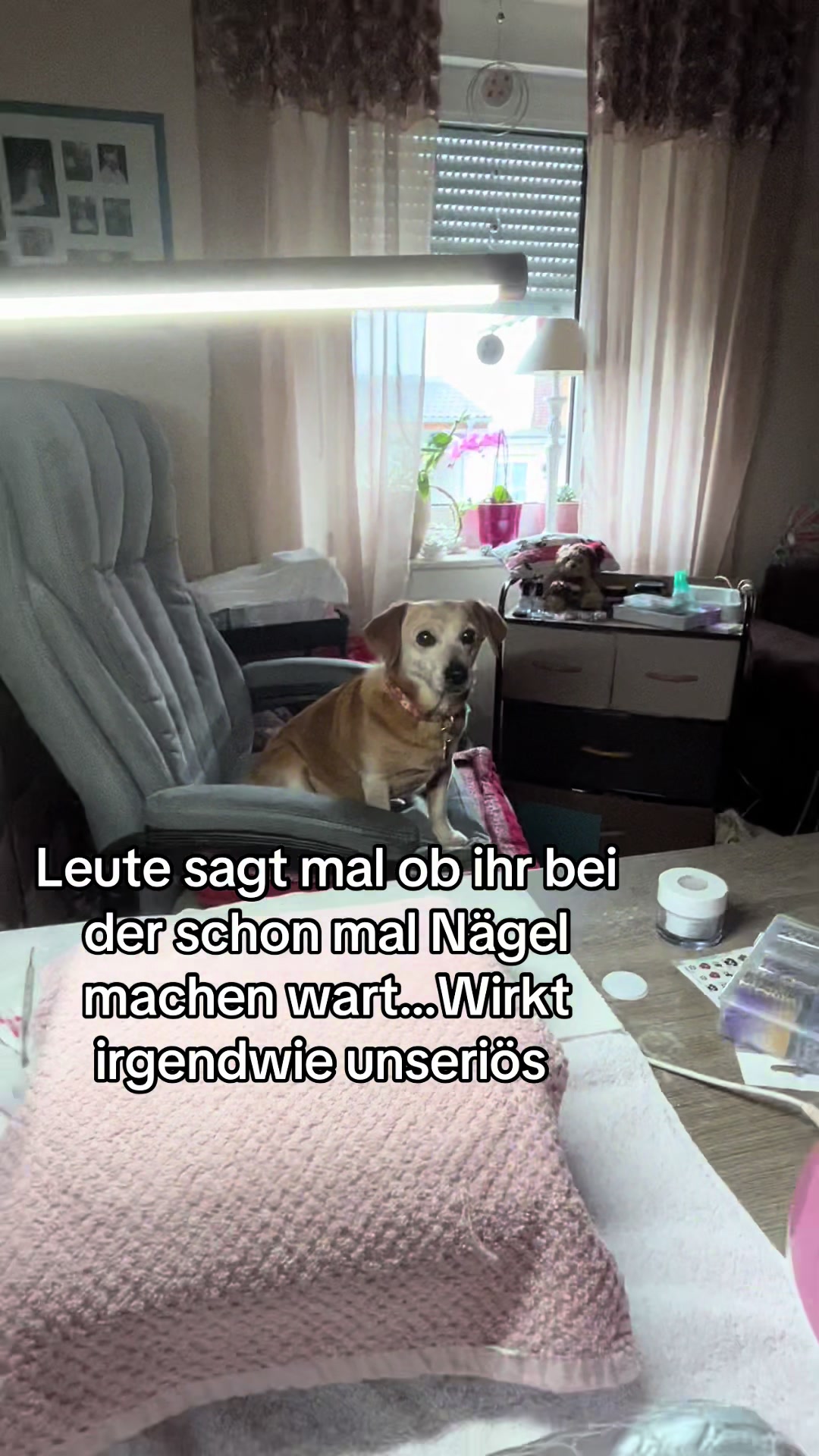 @Die Mit Dem Dackel Tanzt