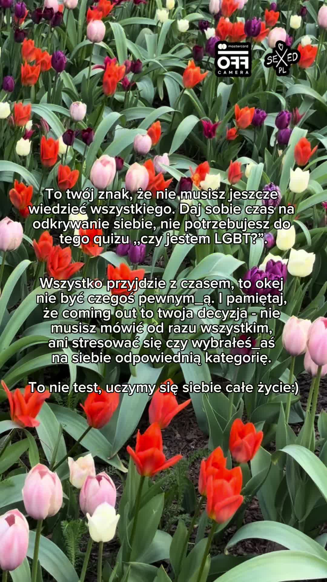 @SEXEDPL