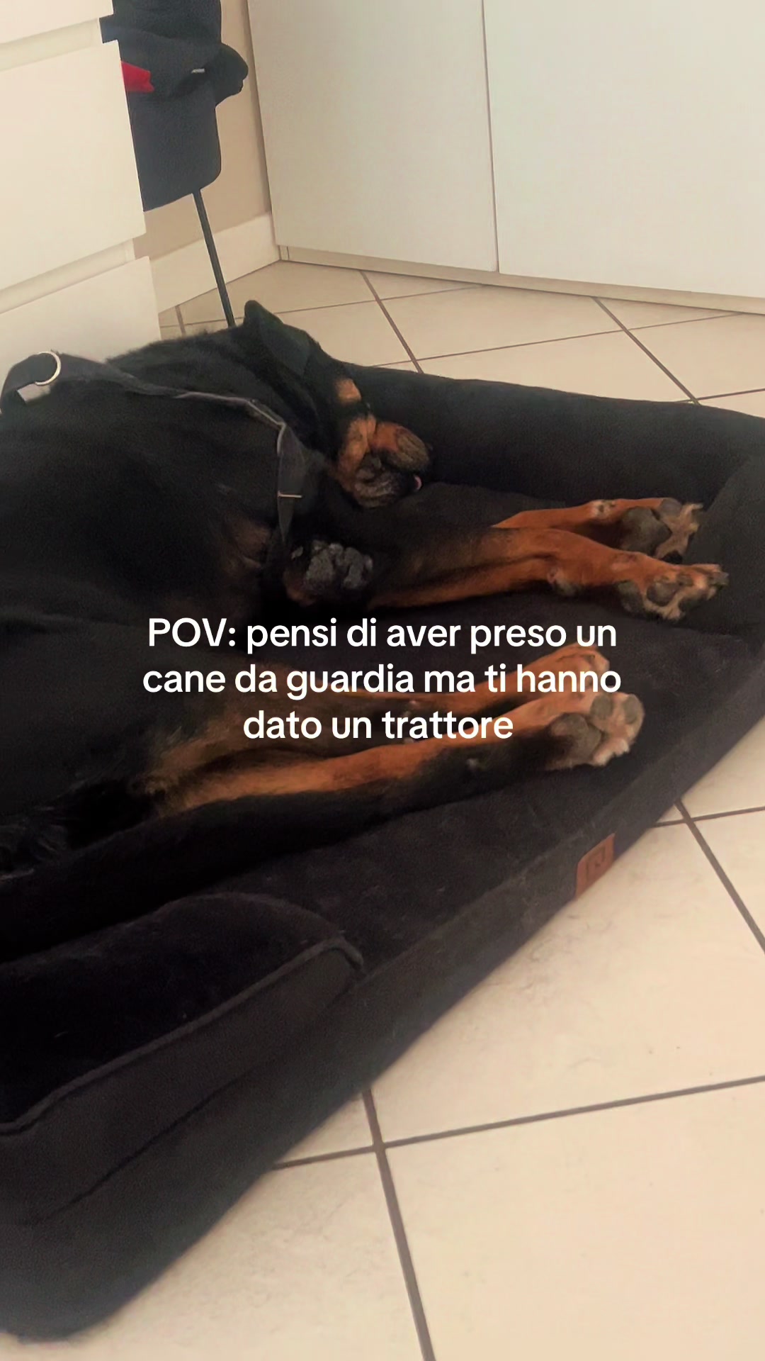@Silvi
